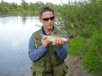 Vjekoslav Brdek